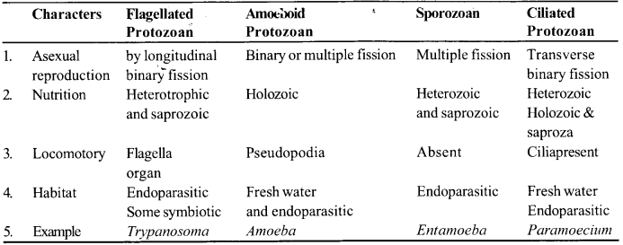 Ncert Solutions For Class 11 Biology Chapter 2 Biological Classification